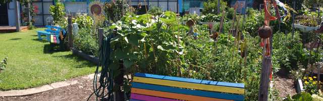 A rainbow coloured bench at an allotment on a sunny day