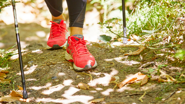 Close up of neon pink trainers and nordic walking poles in the forest
